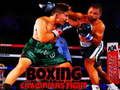 Juego Lucha de Campeones de Boxeo en línea