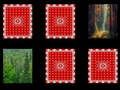 Juego Memoria del bosque en línea