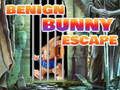 Juego Escape del Conejito Benigno en línea
