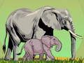 Juego Animales salvajes y sus bebés en línea