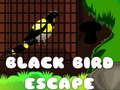 Juego Escape del Pájaro Negro en línea