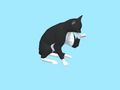 Juego Escape del Gato en línea