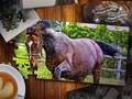 Juego Edición de Rompecabezas de Caballos en línea