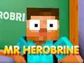 Juego Sr. Herobrine en línea