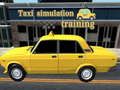 Juego Entrenamiento de simulación de taxi en línea