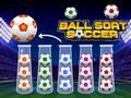 Juego Ordenar Balones Fútbol en línea