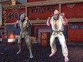Juego Mundo de Luchadores: Puños de Hierro en línea