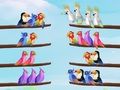 Juego Rompecabezas de clasificación de aves en línea