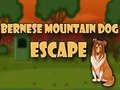 Juego Escape del perro de montaña bernés en línea