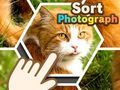 Juego Clasificar fotografías en línea