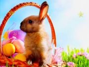 Juego Estrellas ocultas de Pascua en línea Juego Estrellas ocultas de Pascua en línea