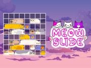 Juego Deslizamiento Gato en línea