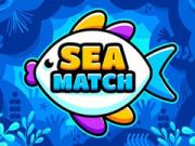 Juego Conexión Marina en línea