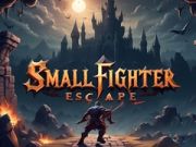 Juego Escape del Pequeño Luchador en línea