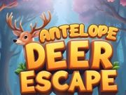 Juego Escape de la Antílope en línea