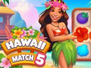 Juego Hawái Coincidencia 5 en línea