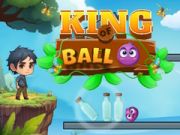 Juego Rey de la Pelota en línea
