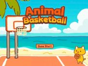 Juego Baloncesto en línea