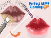 Juego Limpieza perfecta de ASMR en línea