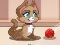 Juego Burbujas de Gato en línea