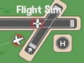 Juego Simulador de Vuelo en línea