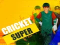 Juego Super Cricket en lĂnea Juego Super Cricket en lĂnea