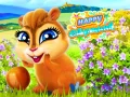 Juego Ardilla Feliz en línea