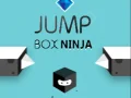 Juego Ninja de la Caja Saltar en línea