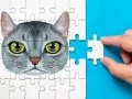 Juego Desafío de Rompecabezas Abisinio en línea Juego Desafío de Rompecabezas Abisinio en línea