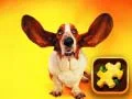 Juego Rompecabezas de Perros Divertidos en línea