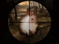 Juego Caza de conejos francotiradores clásica 2019 en línea Juego Caza de conejos francotiradores clásica 2019 en línea