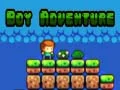 Juego Aventura del chico en línea