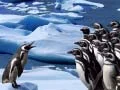Juego Deslizamiento de Pingüinos en línea