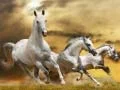 Juego Deslizamiento del Caballo Corredor en línea