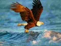 Juego Rompecabezas de Animales Águila en línea Juego Rompecabezas de Animales Águila en línea
