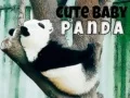 Juego Lindo bebé panda en línea