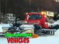 Juego Vehículos de Acondicionamiento de Nieve en línea