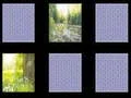Juego Memoria de la Naturaleza en línea