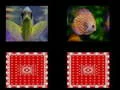 Juego memoria de peces en línea
