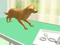 Juego Cuidado de patas en línea