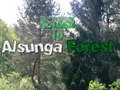Juego Regreso al bosque de Alsunga en línea Juego Regreso al bosque de Alsunga en línea