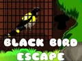 Juego Escape del Pájaro Negro en línea