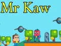 Juego Sr. Kaw en línea