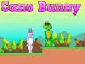 Juego Cano Conejo en línea