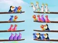 Juego Rompecabezas de clasificación de aves en línea