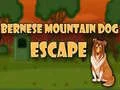 Juego Escape del perro de montaña bernés en línea