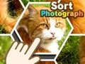 Juego Clasificar fotografías en línea