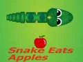 Juego La serpiente come manzana en línea