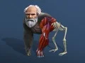 Juego Evolución Inactiva: De Célula a Humano en línea Juego Evolución Inactiva: De Célula a Humano en línea