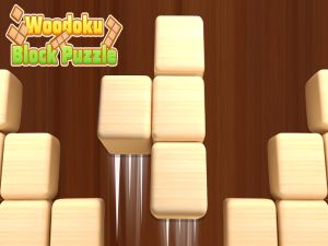 Juego Rompecabezas de bloques de Whohooku en línea